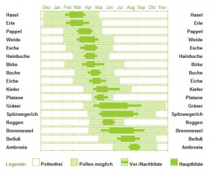 Pollenflug Deutschland